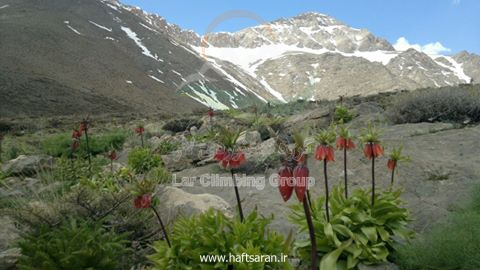 گلستان کوه