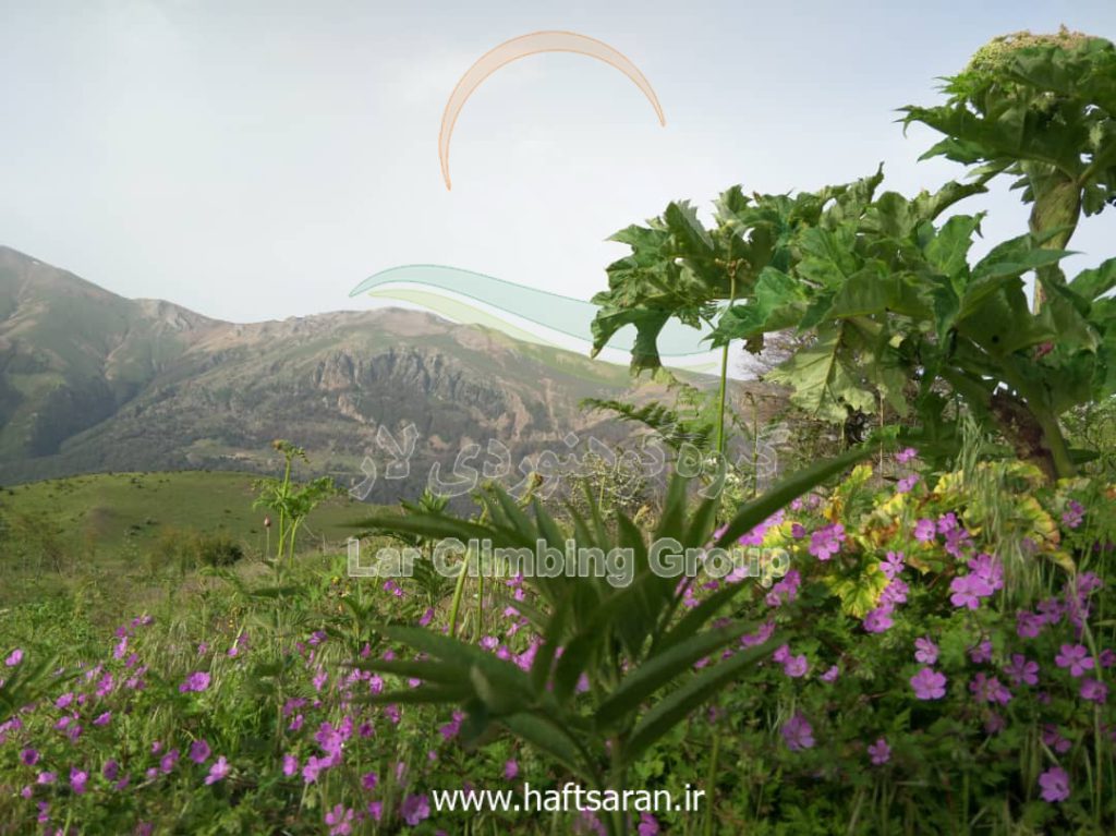 گزارش صعود به قله شاه معلم