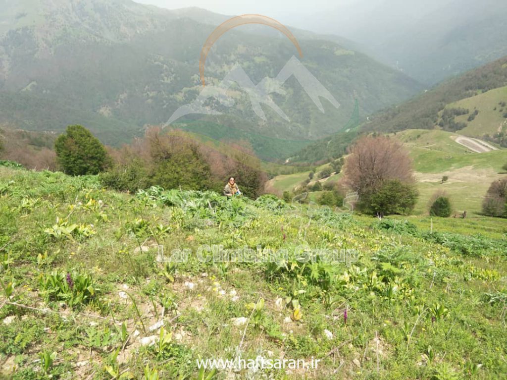 گزارش صعود به قله شاه معلم