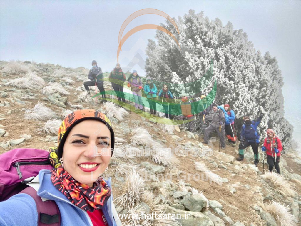سرو کوهی